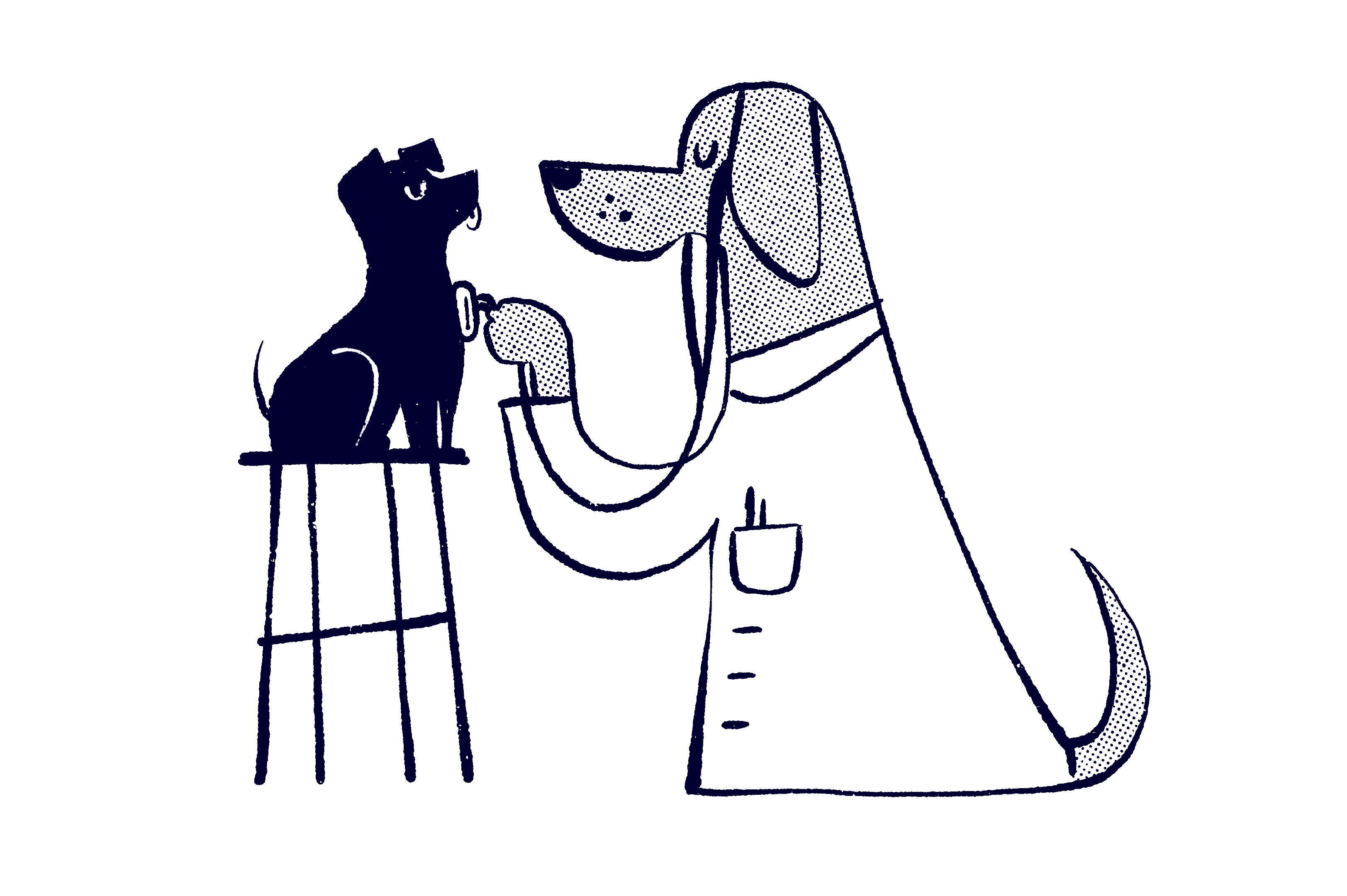 All about Heartworm (and how to prevent it)